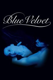 فيلم Blue Velvet مترجم